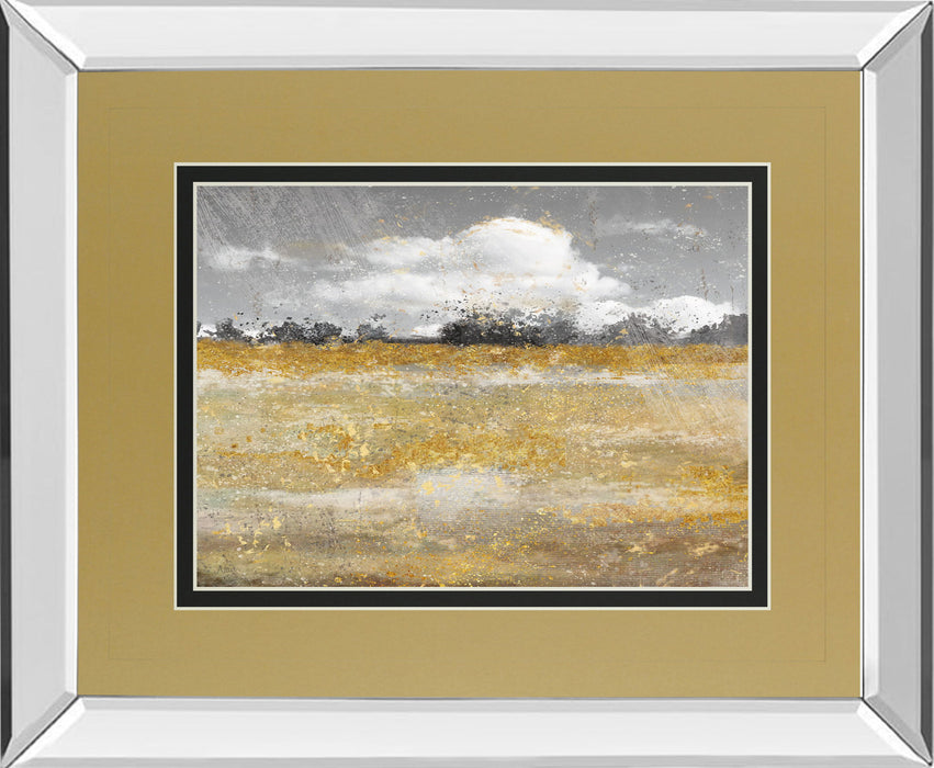 Meadow Shimmer Il By Nan - Mirror Framed Print Wall Art - Light Brown