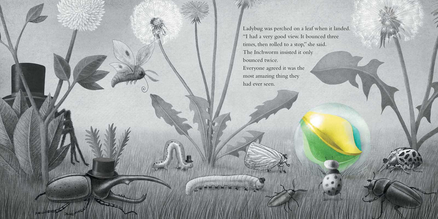 It Fell from the Sky by Terry Fan: Hardcover; 56 pages / English