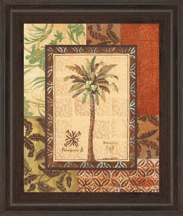 Palmaceae Il By Gregory Gorham - Framed Print Wall Art - Light Brown
