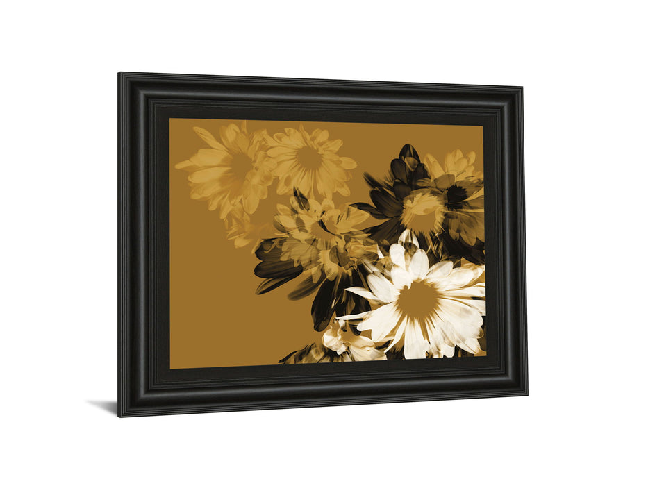 Golden Bloom Il By A. Project Framed Print Wall Art - Light Brown