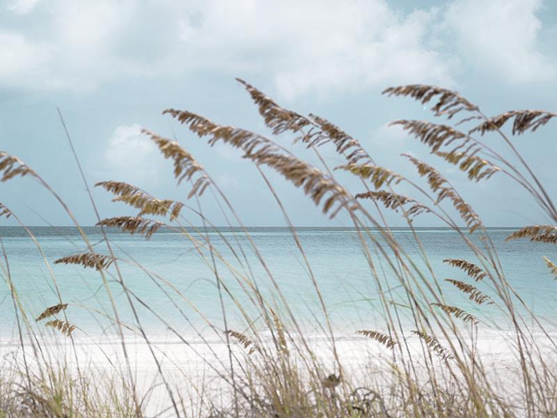 Solitude Beach By Danita Delimont - Light Blue