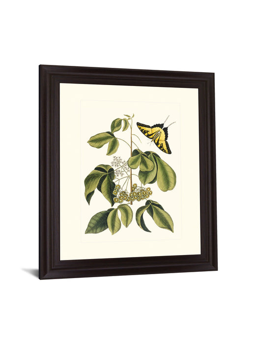 Butterfly Grove - 28" x 34" Framed Wall Art - Green