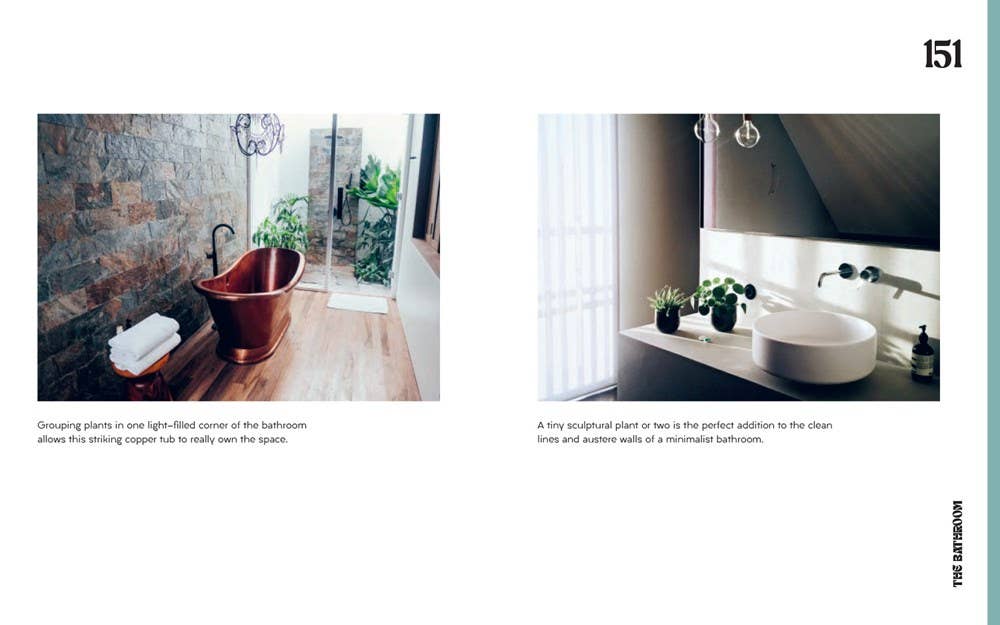 Plant House: Harper by Design