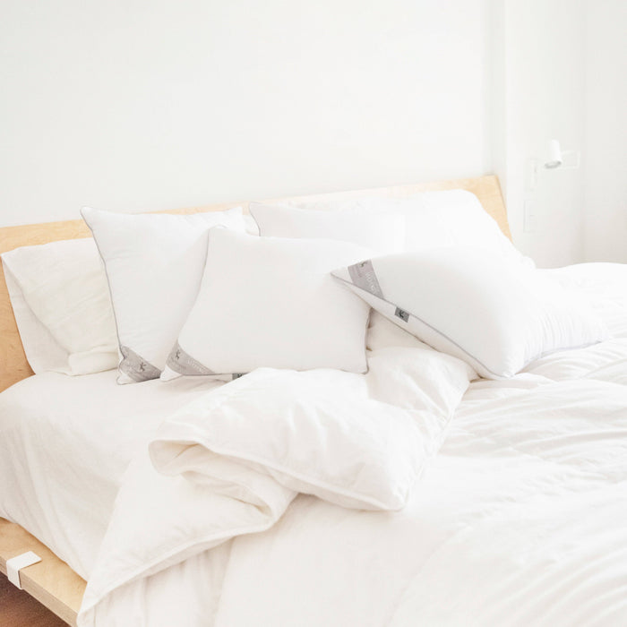 Delirio Pillow Inserts (4-Pack): 20x20 inch
