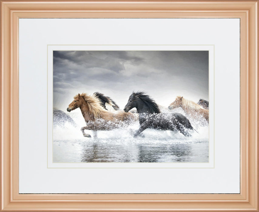 34x40 Horse Run V By PHBurchett - Gray
