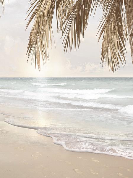 Coastal Dreams Iv By Amber Sterling (Small) - Beige