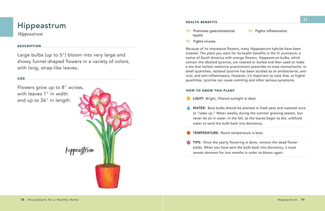 Houseplants for a Healthy Home by Jon VanZile: Hardcover; 128 pages / English