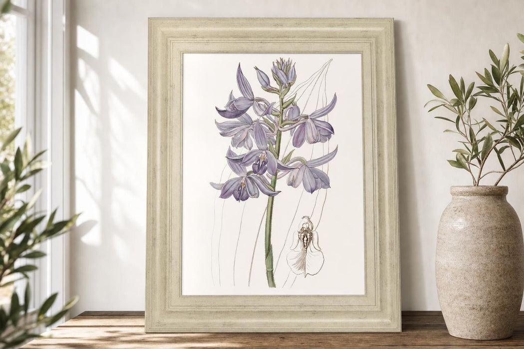 22x26 Lavender Beauties III By Edwards - Purple