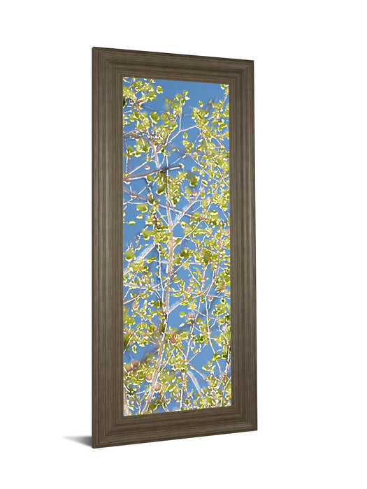 Spring Poplars I By Sharon Chandler - Framed Print Wall Art - Light Blue