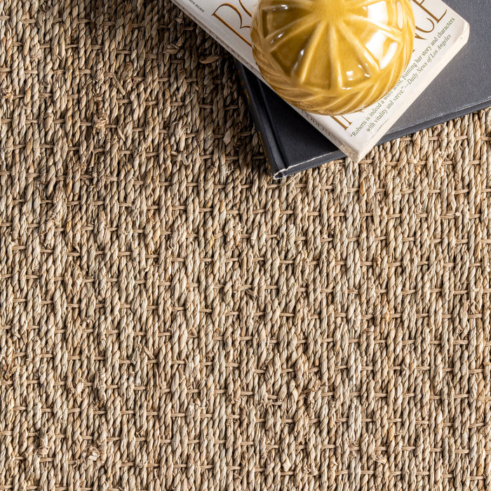 Elijah Seagrass with Border Area Rug: Beige / Round / 6'
