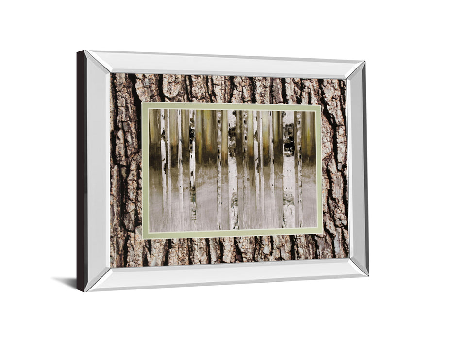 Fern Creek By Susan Jill Double Matted - Mirrored Framed Wall Art - Light Brown