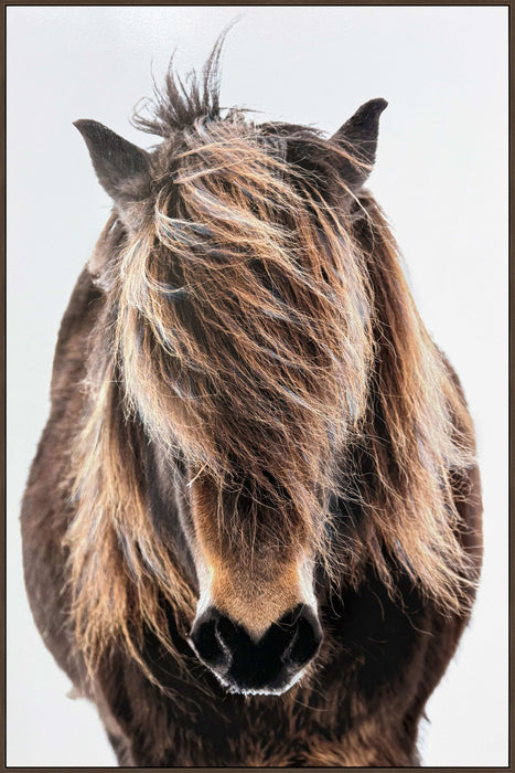 Untamed Forelock - 32 X 48 - Hand-Embellished Canvas In Frame - Brown