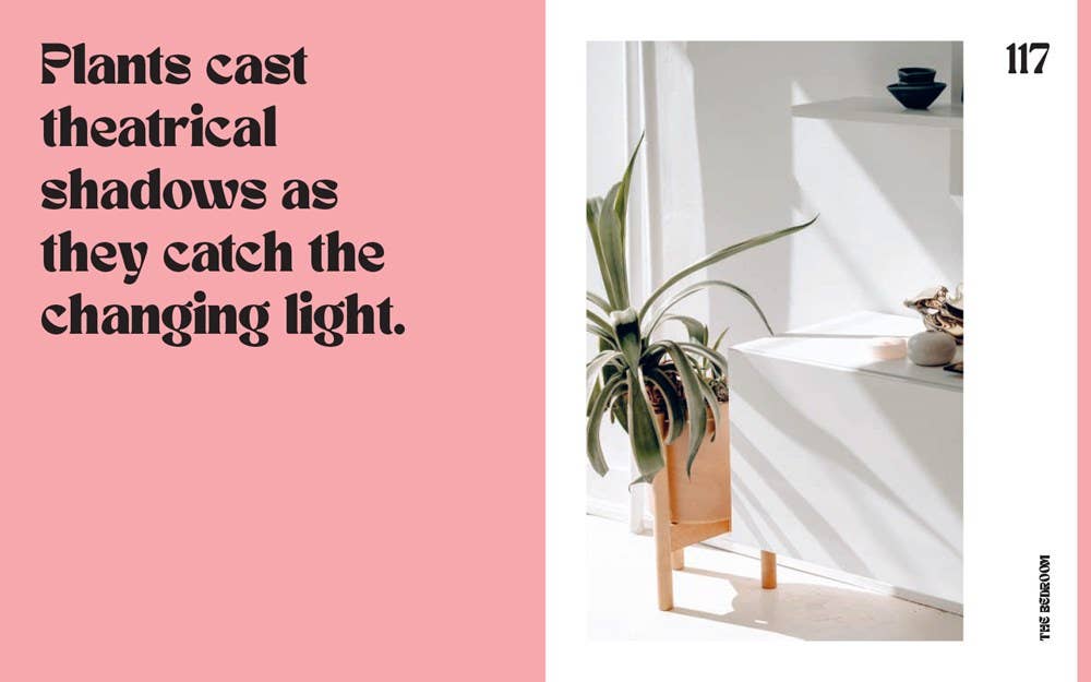 Plant House: Harper by Design