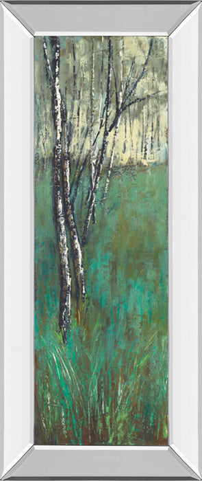 Nature Companion I By Solis - Mirror Framed Print Wall Art - Green