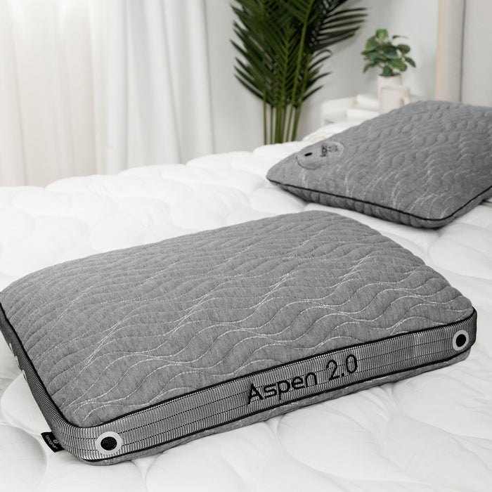Aspen Performance - King Pillow