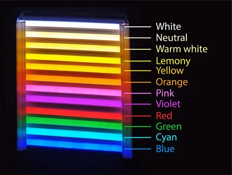 This Must Be The Place Neon Sign, Wall Decor For Store: White / 25"/63cm