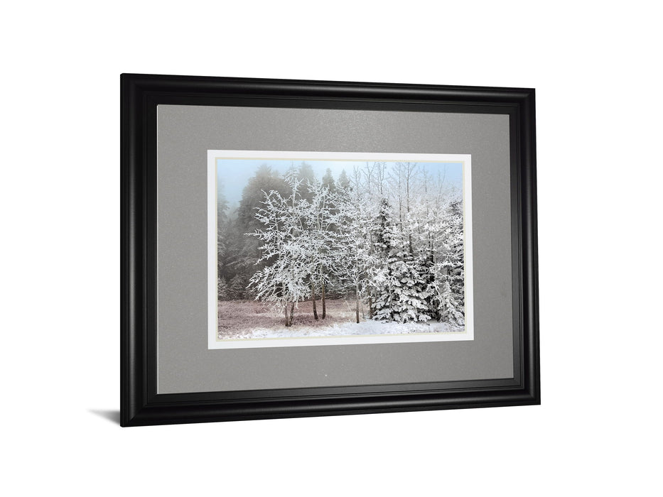 Frosty Morning By Mike Jone - Framed Print Wall Art - Gray