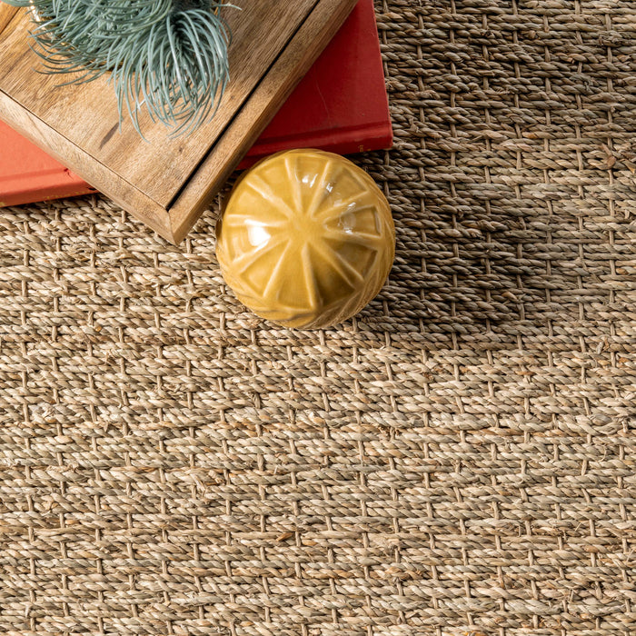 Elijah Seagrass with Border Area Rug: Beige / Round / 6'