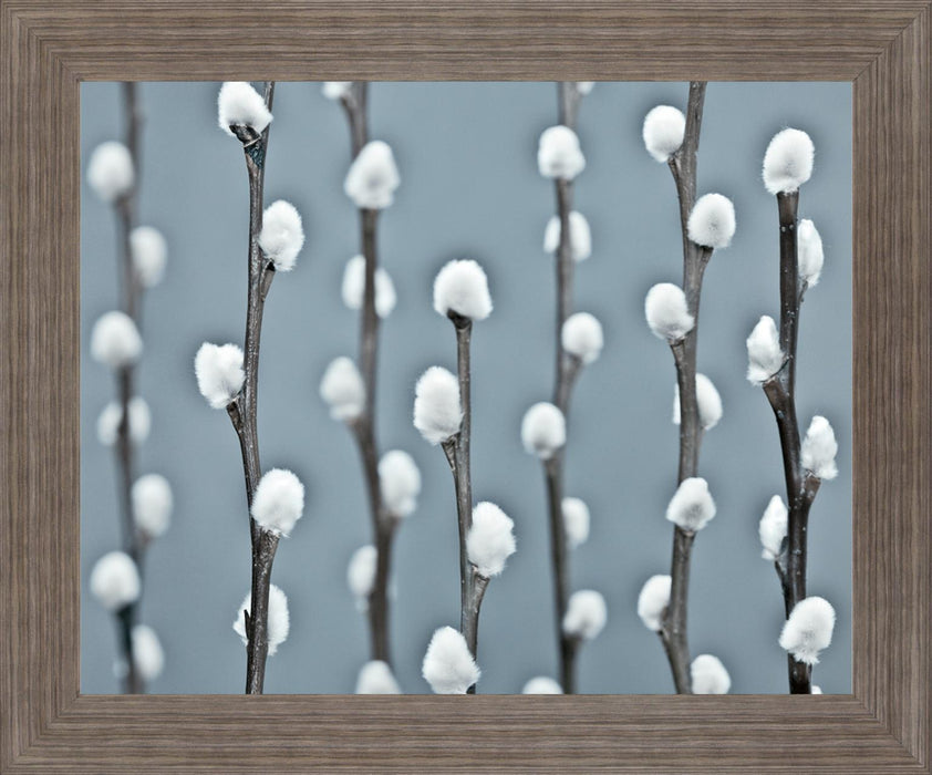 Winter Willow - 28" x 34" Framed Wall Art