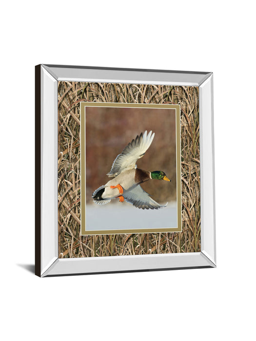 Flying Mallard By Steve Oehlenschlager Mirror Framed Mossy Oak Native Living Print - Light Brown