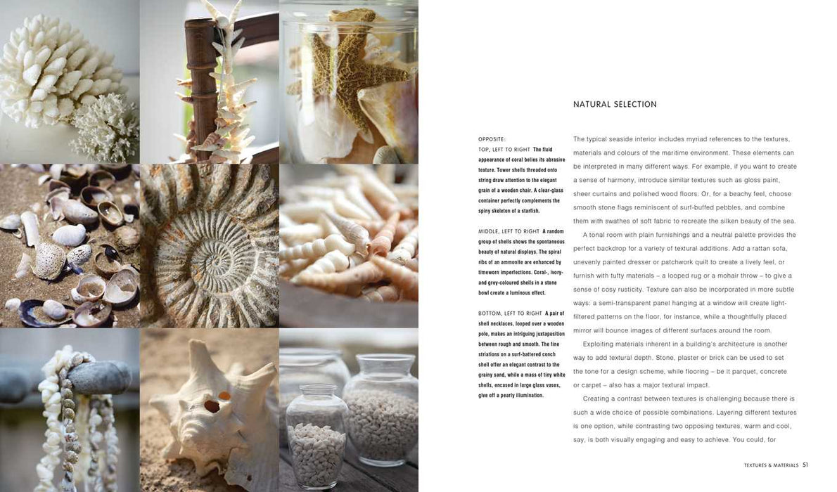 Coastal Blues by Sally Hayden: Hardcover; 160 pages / English