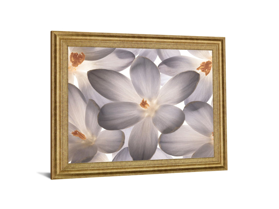 Whispering Blossom - 28" x 34" Framed Wall Art