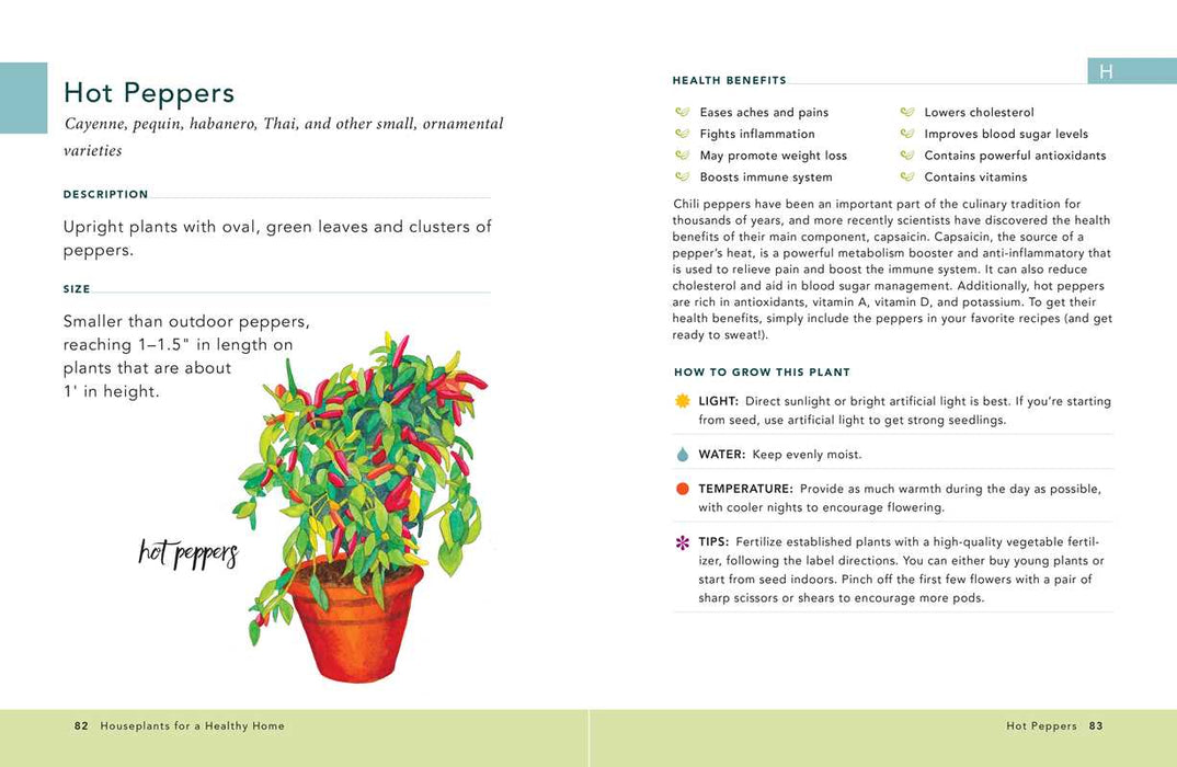 Houseplants for a Healthy Home by Jon VanZile: Hardcover; 128 pages / English