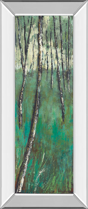 Nature Companion Il By Solis - Mirror Framed Print Wall Art - Green