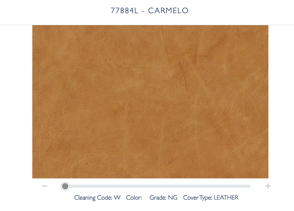 Rybe Mid-Century Modern Accent Chair Color #77884 Carmelo