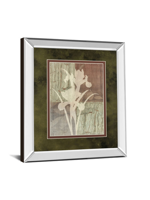 Iris Silhouette By Various - Mirror Framed Print Wall Art - Light Brown