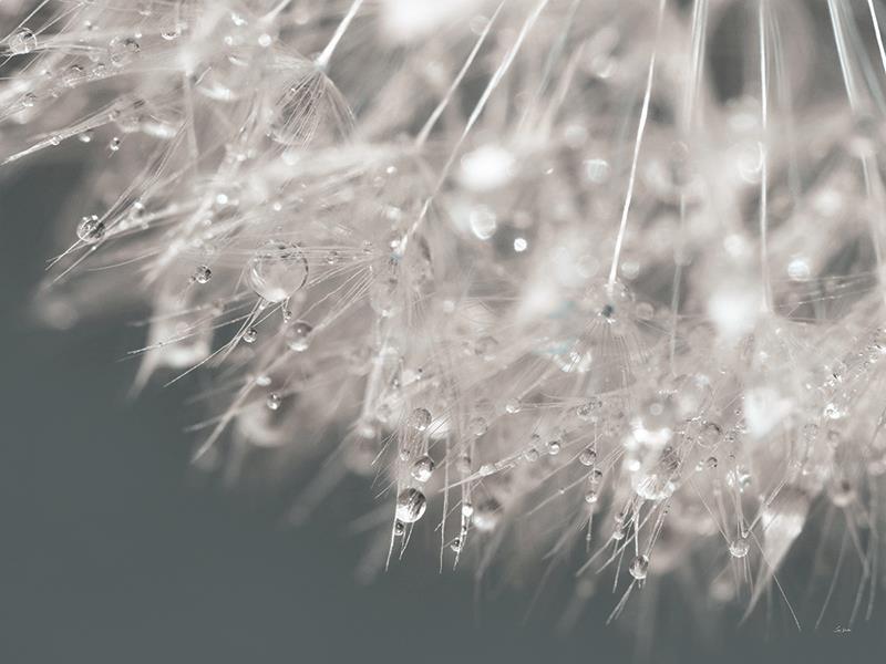 Droplet In Time II By Lori Deiter (Framed Small) - Gray