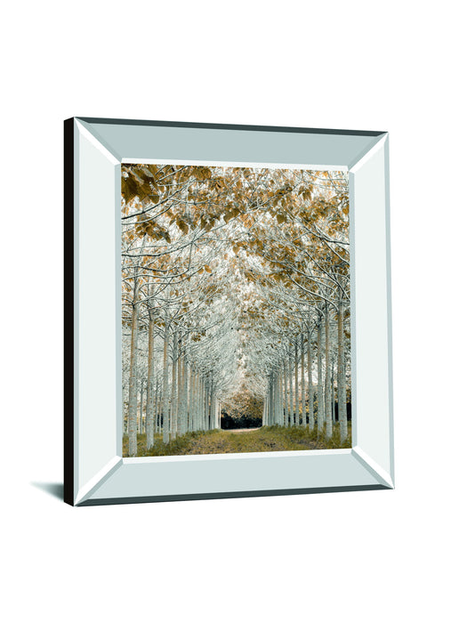 White Gold By Assaf Frank - Mirror Framed Print Wall Art - Silver