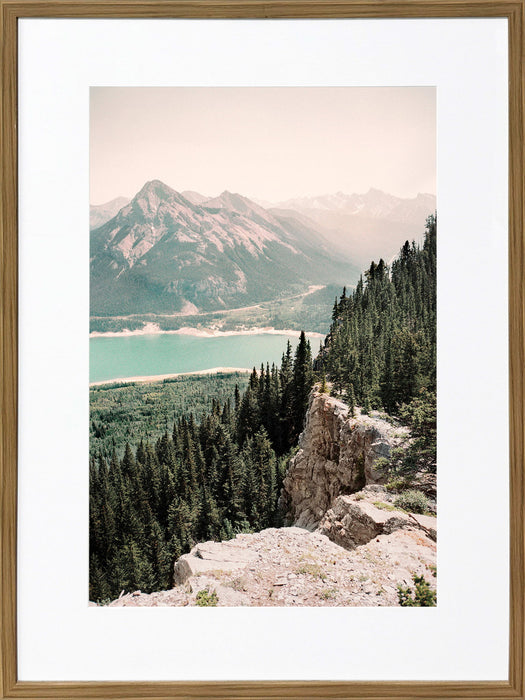 Pinebound Light I - 24 X 32 - Framed Print Under Glass - Green