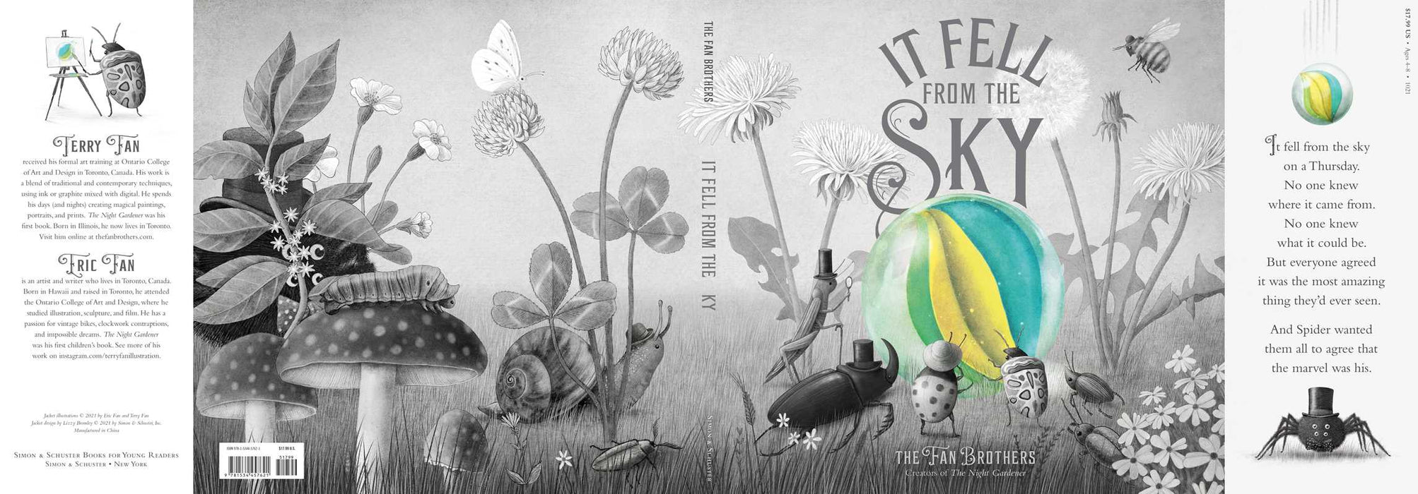It Fell from the Sky by Terry Fan: Hardcover; 56 pages / English