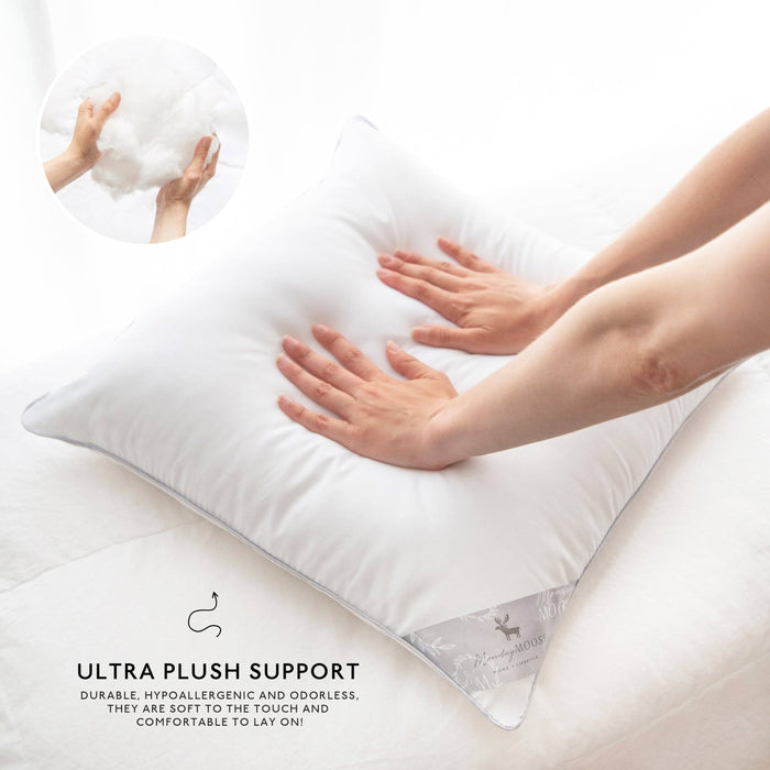Delirio Pillow Inserts (4-Pack): 20x20 inch