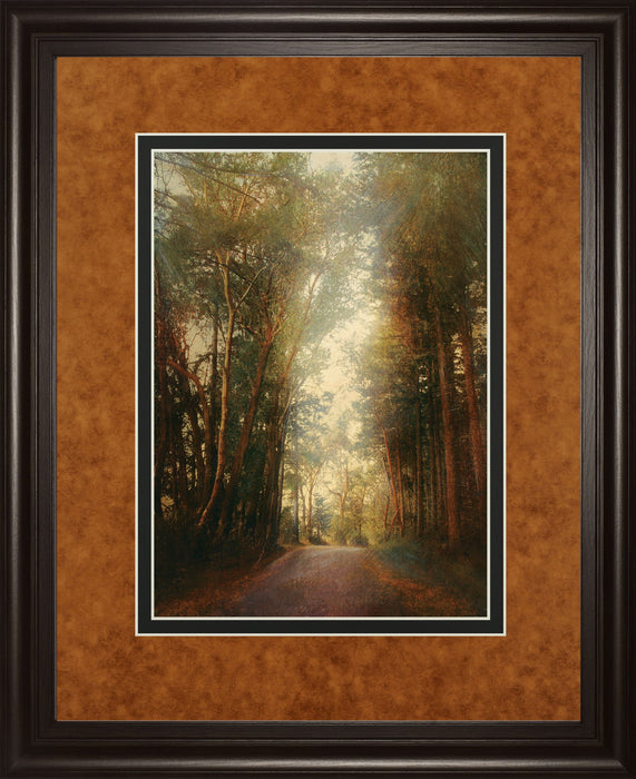 Road Of Mysteries Il By Amy Melious - Framed Print Wall Art - Light Brown