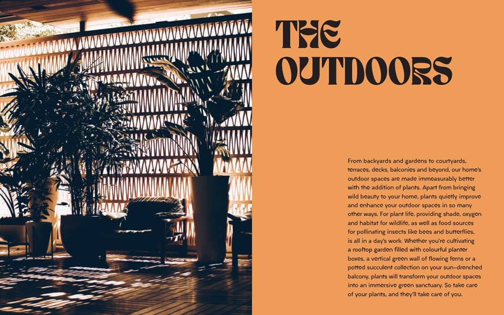 Plant House: Harper by Design